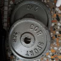 2 pesi da 2 kg