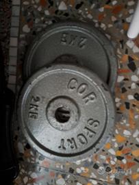 2 pesi da 2 kg