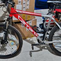 bici mtb carraro