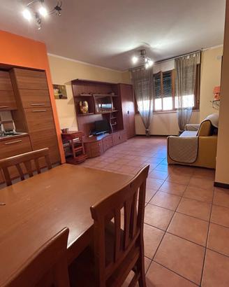 A Sabaudia centro, casa vacanza dal 31 Agosto
