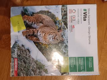  Vita ediziobe verde - 2 superiore 