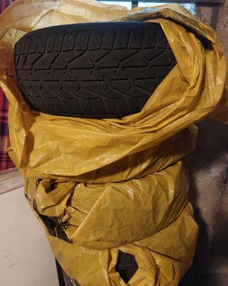 gomme invernali 205 55 R16