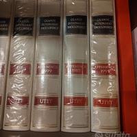 Enciclopedia UTET 20 volumi + 6 appendici