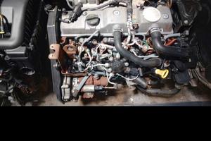 motore ford transit connect 1800 TDCi anno 2010 si