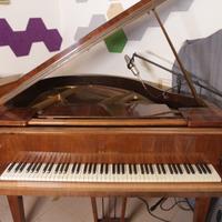 Pianoforte a coda Petrof Mod. V