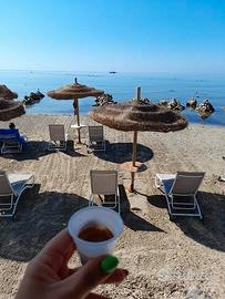 Casa arredata autonoma