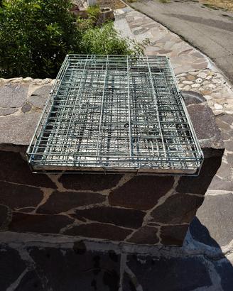 kennel per cani 