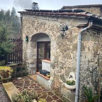 Casale