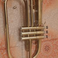 strumenti musicali flicorno soprano Jupiter 