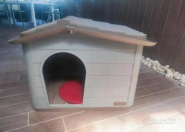 Cuccia Princess media 