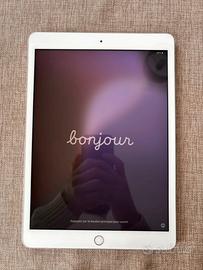 Ipad 7 generazione 2019 32gb
