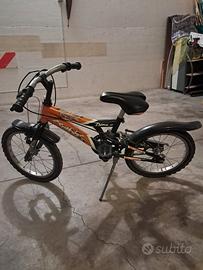 bicicletta