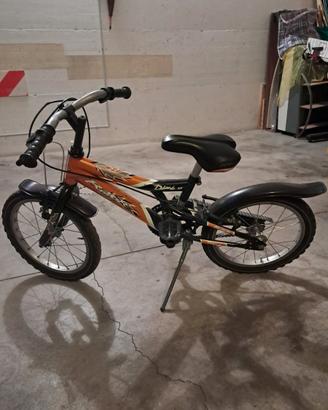 bicicletta