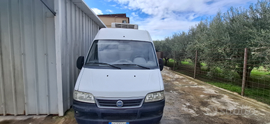 Fiat ducato 2002 frigo atp valido