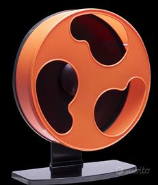 Ruota per petauro dello zucchero