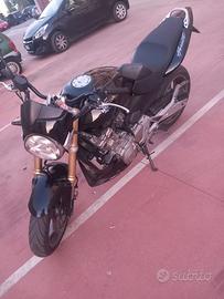 hornet 2005 
