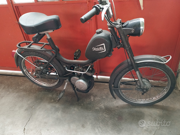 Peripoli Gioietta "conservata"