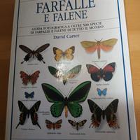 libro FARFALLE E FALENE