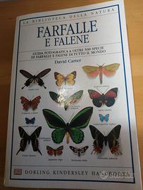 libro FARFALLE E FALENE