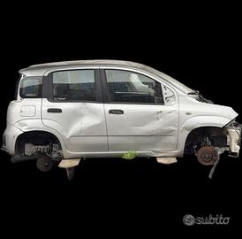 TAGLIO LAMIERATO FIAT NEW PANDA 312 2012/2025
