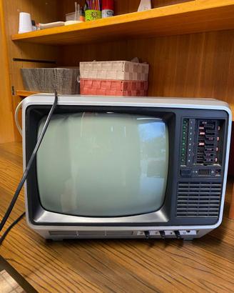 Televisore portatile Phonola