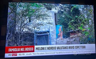 TV Sony Bravia 65 pollici