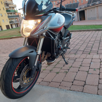 Hornet 600 del 2009