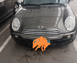 Mini one d88 modello park line