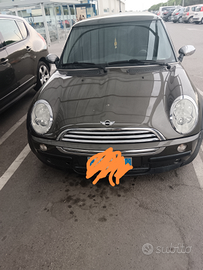 Mini one d88 modello park line