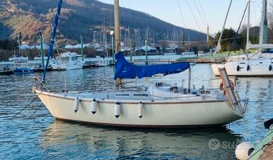 Barca a vela Contest 31