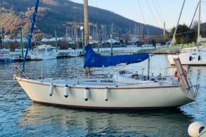 Barca a vela Contest 31