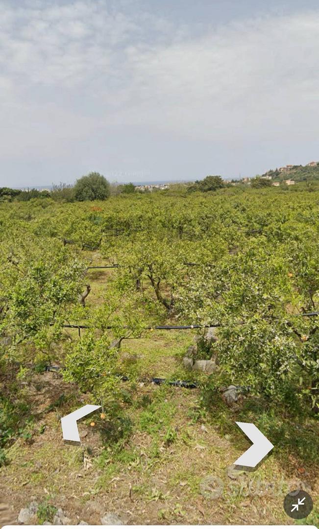 Terreno - Palermo - Vista 4