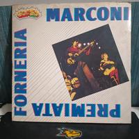 dischi vinile 33 e 45 giri 
