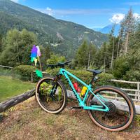 Mountain bike