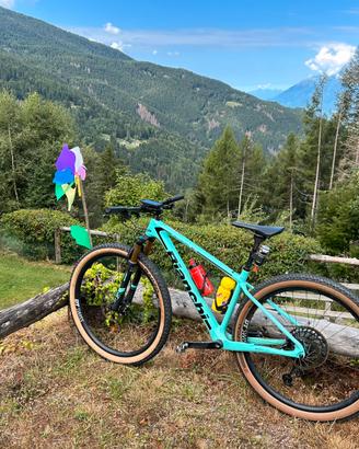 Mountain bike