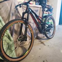 Stumpjumper Comp Carbon 2019 S3