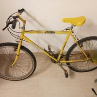 due bici