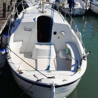 Gozzo Bertozzi vtr