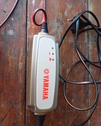 mantenitore di carica 