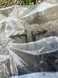 Clip a cavaliere APE