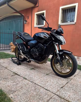 Honda hornet 600  del 2009 perfetta