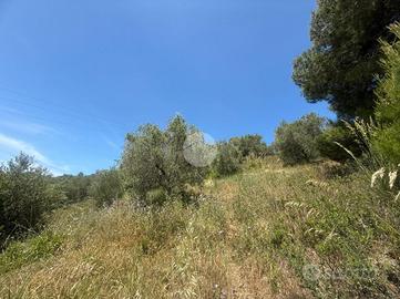 TER. AGRICOLO A AGROPOLI