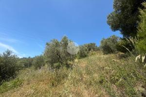 TER. AGRICOLO A AGROPOLI