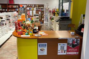 Cartoleria