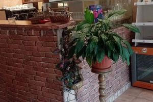 Attività commerciale