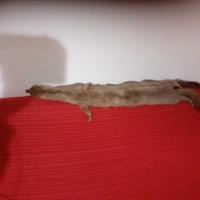 Stola pelliccia visone vintage