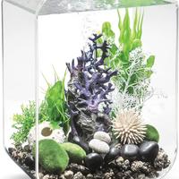 Acquario biOrb LIFE 15 LED