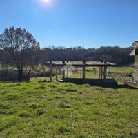 TER. AGRICOLO A TRIVIGLIANO