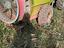 Immagine 4
