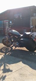 Harley Davidson sportster Super Low T